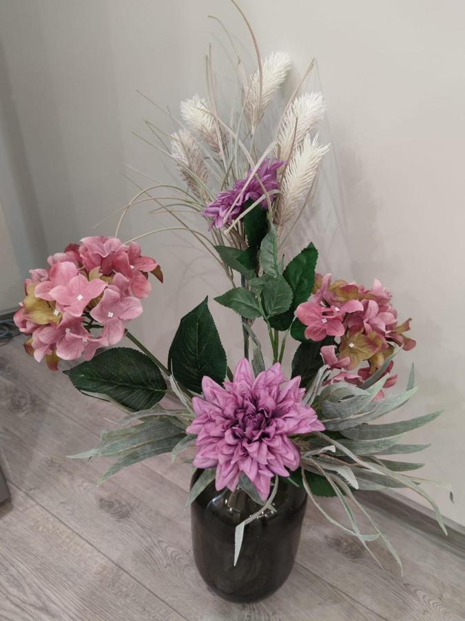 Flowers Apartment ドブリチ エクステリア 写真